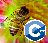 Bees Algorithm Cpp